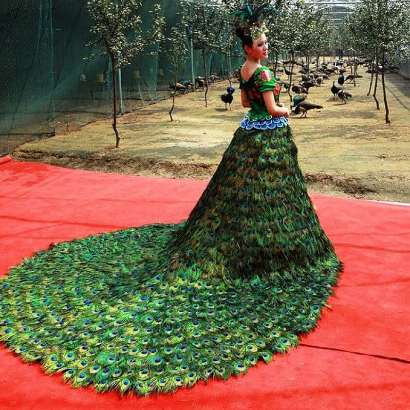 Váy cưới Peacock Wedding Dress