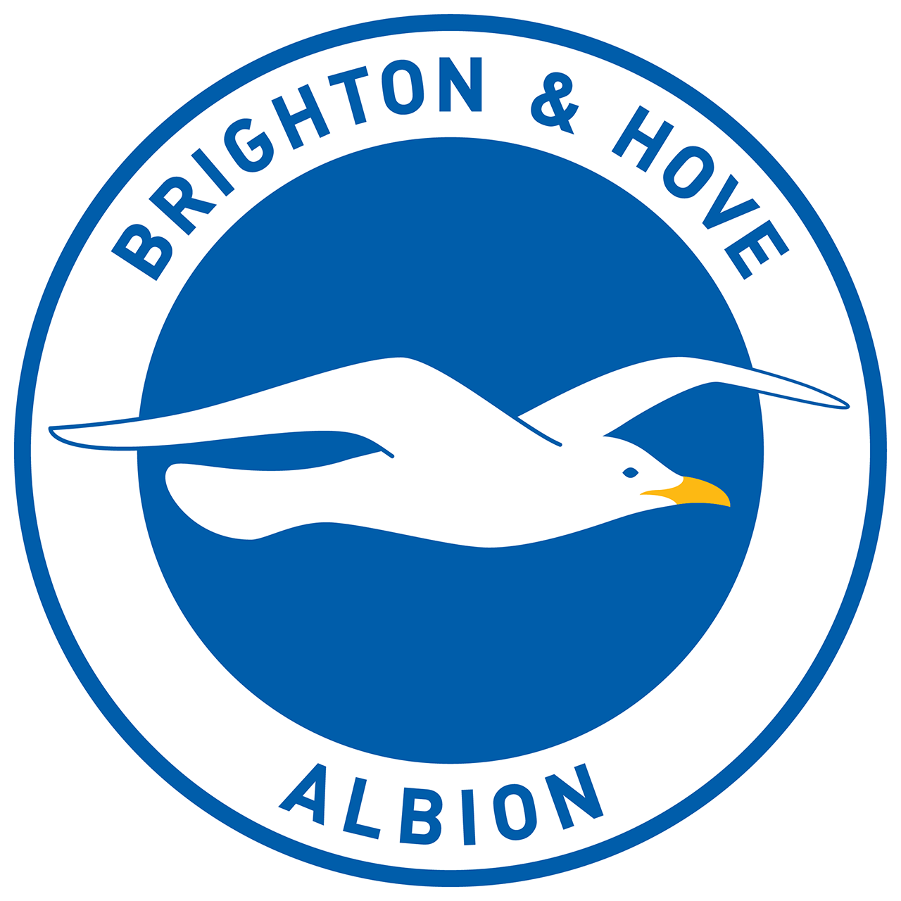 Brighton Hove Albion FC HD Logo