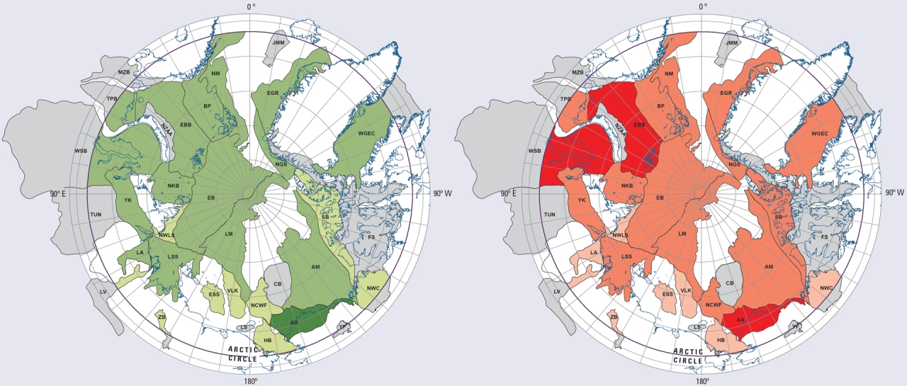 Bản đồ dầu (Màu xanh lá) và bản đồ gas (Màu đỏ) ở Bắc cực