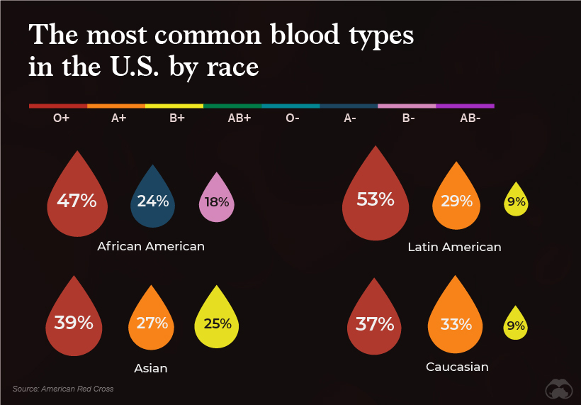 Nhóm máu phổ biến ở Mỹ