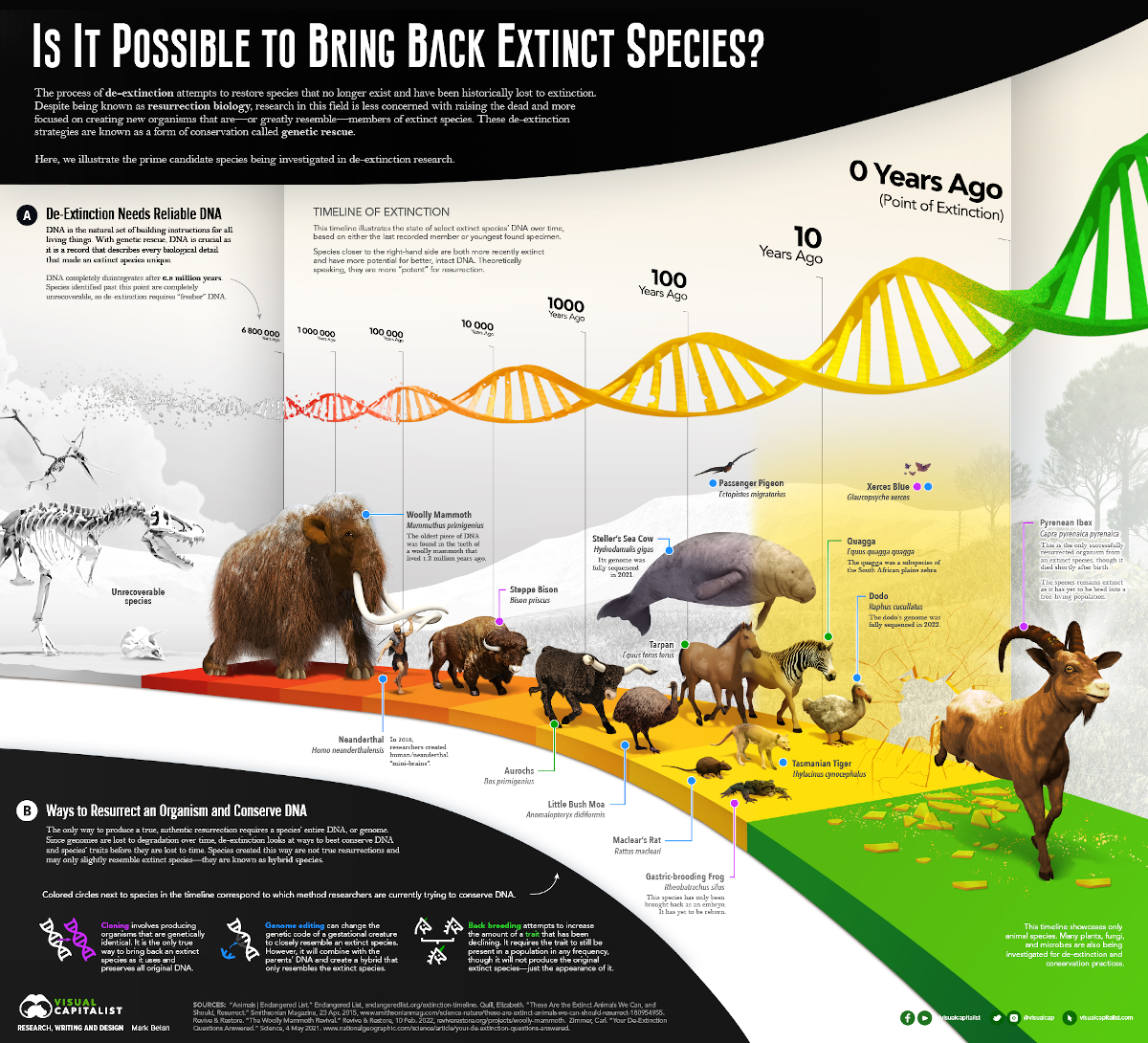 Khả năng làm sống lại động vật đã tuyệt chủng infographic