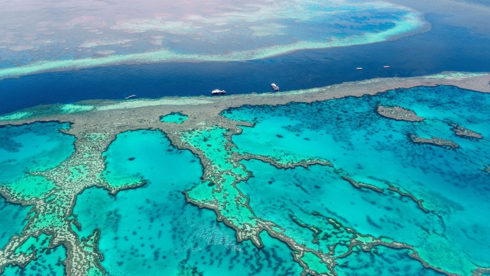 Rạn san hô lớn nhất thế giới