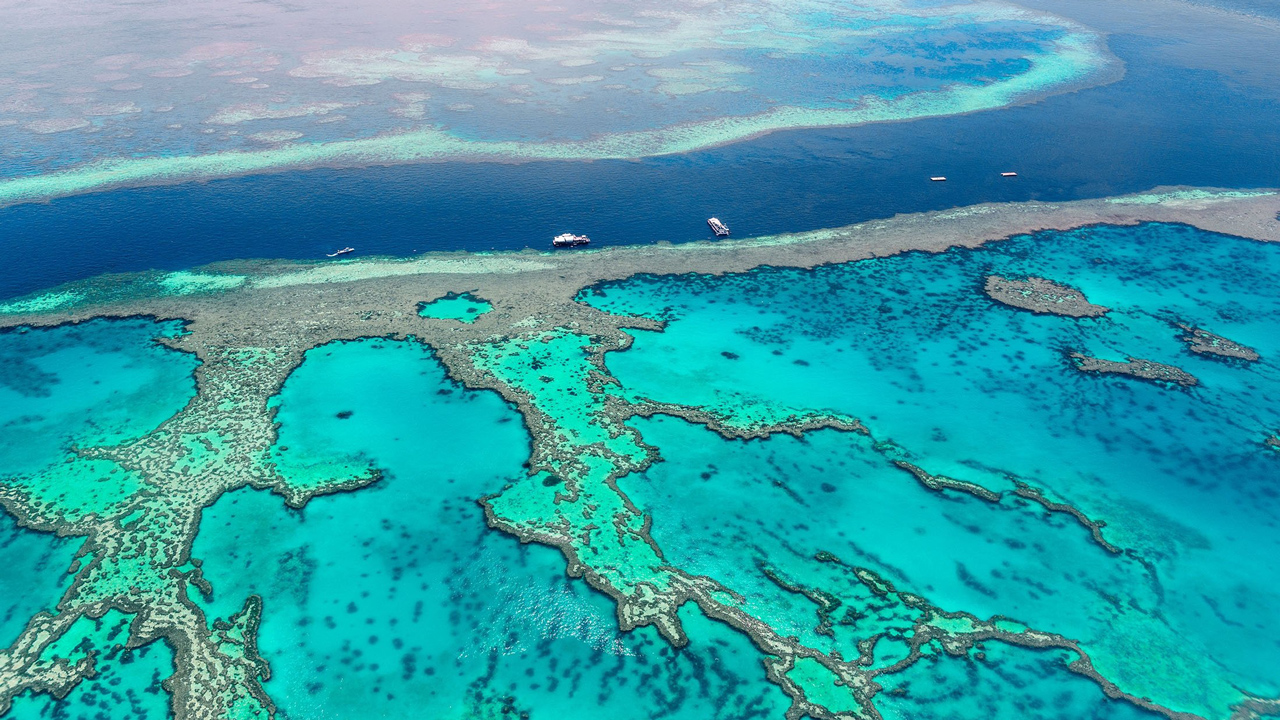 Rạn san hô lớn nhất thế giới Great Barrier Reef